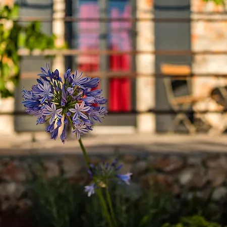 Oda ve Kahvaltı North Point