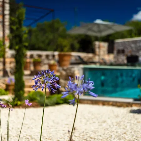 North Point Oda ve Kahvaltı 4*