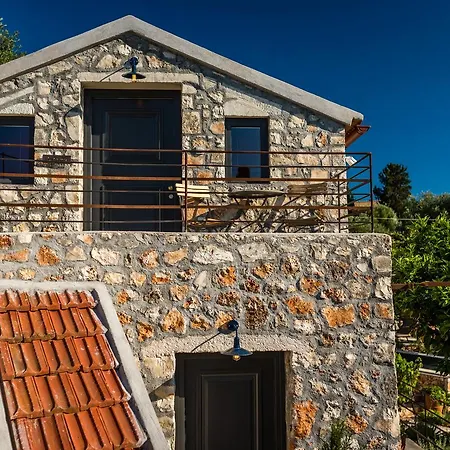 North Point Antipata