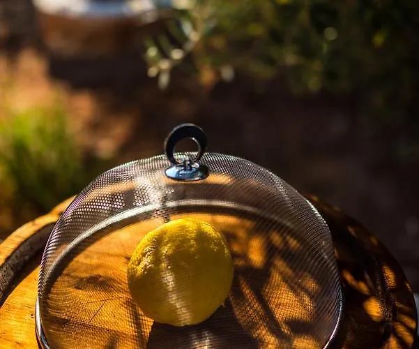 Bed and Breakfast North Point